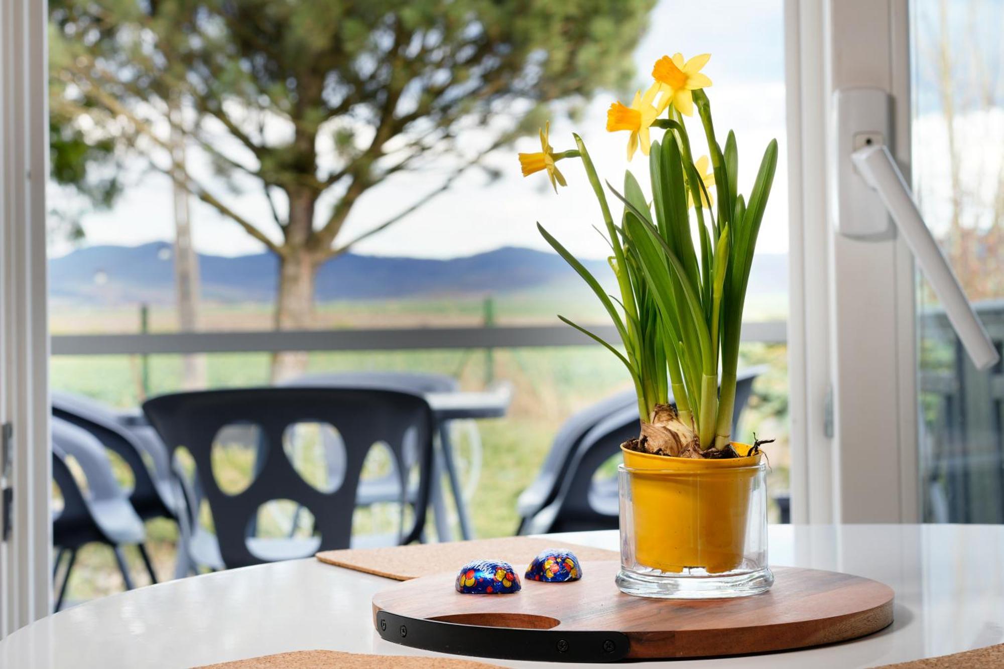 Margarett - Cozy House Klodzko Jaszkowa Dln. Villa Luaran gambar